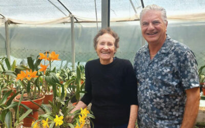 VIAGGI – Il Vivaio di Orchidee