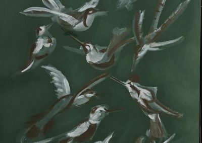 Gruppo di uccelli in volo su sfondo verde scuro