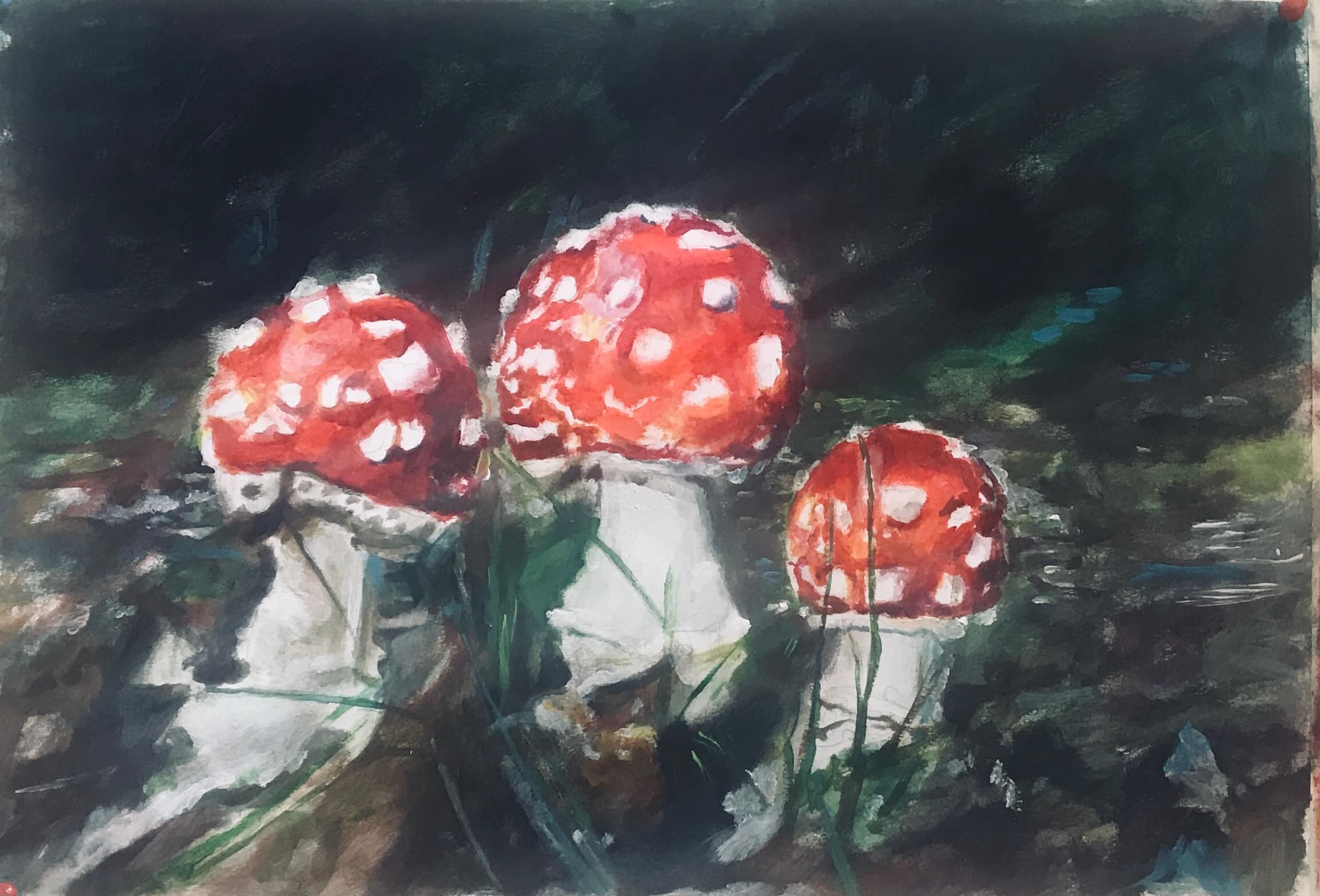 Amanita, acrilico su carta, 30x40, 2019. Collezione privata Dipinto di tre funghi del genere amanita, con cappello rosso a pois e gambi bianchi su sfondo scuro