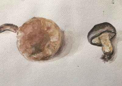 Dipinto ad acquarello di due piccoli funghi