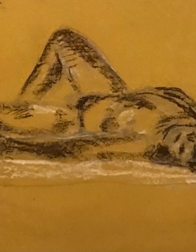 Nudo maschile disteso