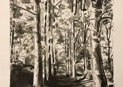 Scorcio di bosco di betulle, acquarello monocromo nero