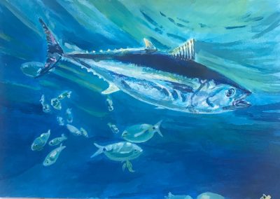 Un tonno nuota nel mare blu circondato da altri pesci più piccoli