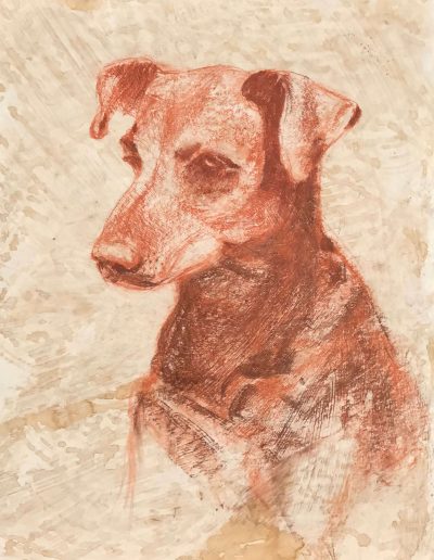 Ritratto a sanguigna di un cane