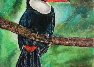 Tucano appollaiato su un ramo su sfondo vegetazione verde