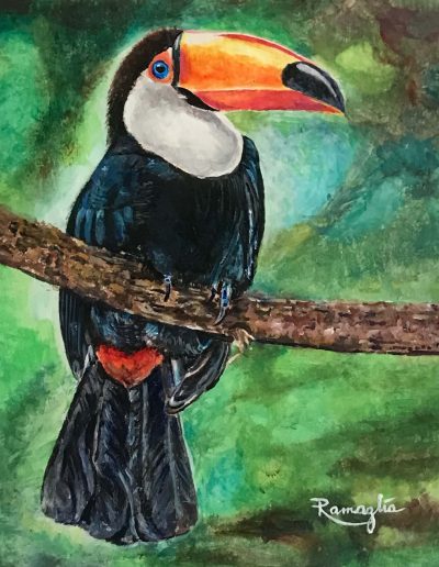 Tucano appollaiato su un ramo su sfondo vegetazione verde